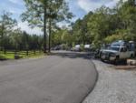 Paved road lined with trees and RVs at Great Escape RV Resort Chesnut Bay - thumbnail
