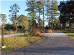 Paved site with a picnic bench at MADISON RV & GOLF RESORT - thumbnail