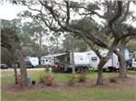 RVs at site near flowered landscaping at Panacea RV Park - thumbnail