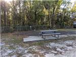 View larger image of RV site number three with a picnic table at STEINHATCHEE RIVER CLUB image #9