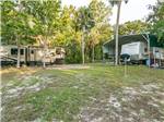 View larger image of A group of grassy RV sites at STEINHATCHEE RIVER CLUB image #10