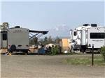 View larger image of Motorhomes in campsites at STARGAZERS RV RESORT image #1