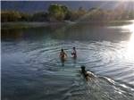 View larger image of Children playing in water with dog swimming out to them at LAKE OLANCHA RV PARK image #5