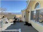 View larger image of Dogs resting on a deck outside yellow house at LAKE OLANCHA RV PARK image #10