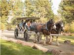 A family on a horse ride at THE RETREAT, LINKS & SPA AT SILVIES VALLEY RANCH - thumbnail