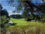 The beautiful golf course at HILTON HEAD NATIONAL RV RESORT - thumbnail