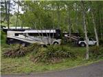 A row of RV sites under the trees at VISTA PARK - thumbnail