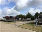 View larger image of A row of paved pull thru RV sites at CORRAL RV RESORT image #6