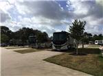 View larger image of The front of a row of motorhomes at CORRAL RV RESORT image #10