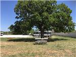 A bench and horseshoe pit under a tree at SUNDANCE RV PARK - thumbnail