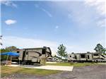 View larger image of Motorhomes parked in backed in sites at THE OAKS FAMILY CAMPGROUND image #4