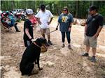 View larger image of People standing around a black dog at THE OAKS FAMILY CAMPGROUND image #7