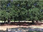 View larger image of Picnic tables under large trees at STINSON RV PARK image #11