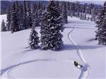 Person on snowmobile near campground at TRAIL & HITCH RV PARK AND TINY HOME HOTEL - thumbnail