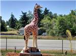 Campground photo thumbnail