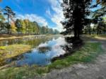 A motorhome and fifth wheel under the covered parking at FOREST LAKE RV PARK & EVENTS - thumbnail