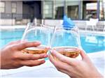Two ladies toasting wine glasses at ERIC & JAY'S RV RESORT  - thumbnail