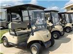 A row of golf carts parked at ERIC & JAY'S RV RESORT - thumbnail