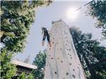 The rock climbing wall - thumbnail