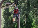 A man on a sky bike - thumbnail