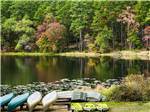 Canoes lined up at the edge of a lake - thumbnail