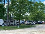 RV sites among trees - thumbnail