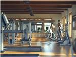 Exercise equipment - thumbnail