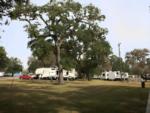 Parked trailer's at Bayou Oaks RV Resort - thumbnail