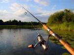 A fishing pole - thumbnail