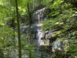 Waterfall at Sasquatch Farm RV Park & Campground - thumbnail