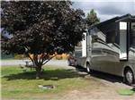 View larger image of A motorhome next to a tree at ELLENSBURG KOA JOURNEY image #5