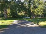 View larger image of A gravel RV site with a picnic table at ELLENSBURG KOA JOURNEY image #7