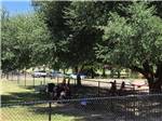 People sitting on park bench under a tree at MINEOLA CIVIC CENTER & RV PARK - thumbnail