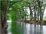 View larger image of River with tall trees growing right on the banks at BANDERA CROSSING RIVERFRONT RV PARK image #1