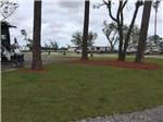 View larger image of Grassy area with RVs in the distance at BILOXI BAY RV RESORT AND MARINA image #8