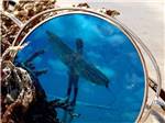 View larger image of A reflection of a surfer in sunglasses at MAMAWS COASTAL HIDEAWAY image #1