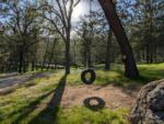 Tire swing - thumbnail