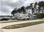 Sites with pines in background at Whispering Pines RV Resort East and West - thumbnail