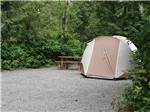 A small beige tent and picnic bench at SURF GROVE CAMPGROUND - thumbnail