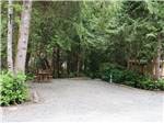 An empty gravel site at SURF GROVE CAMPGROUND - thumbnail
