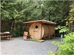 A wooden sauna with lights around it at SURF GROVE CAMPGROUND - thumbnail