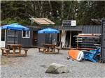 The Pacific Surf rental spot at SURF GROVE CAMPGROUND - thumbnail