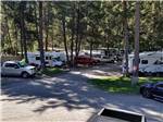 Campers in campsites at RIVERHAVEN RV PARK & MOTEL - thumbnail
