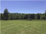 A large grassy field with a forest at DREAMLAND RV PARKS - thumbnail
