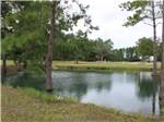 Waterfront at Pebble Hill RV Resort - thumbnail