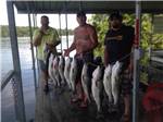 Three anglers show off their hefty catches at KELLER'S KOVE CABIN AND RV RESORT - thumbnail