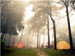 A group of tents under trees at AT EASE CAMPGROUND & MARINA - thumbnail