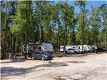 A line of gravel back in RV sites at BLACK CREEK RV PARK - thumbnail
