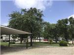 View larger image of A covered pavilion with trees at BIG OAK RV RESORT image #4