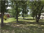 View larger image of A grassy area with trees at BIG OAK RV RESORT image #7